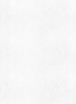 European White Linen Western Style Shirt -Vest Gentleman Shop europwhitelinenwesternstyleshirtlook 3 ce87f2a4 771b 42f7 a673 9f21c34dc7ad