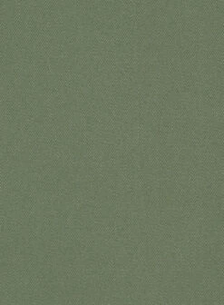 Green Cotton Power Stretch Chino Pants 8 Green Cotton Power Stretch Chino Pants -Vest Gentleman Shop grnctnpwrstrtchchinpantlk 2