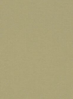 Italian Dark Tan Cotton Stretch Pants -Vest Gentleman Shop italiandarktancottonstretchpantlk 2