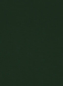 Italian Emerald Green Cotton Stretch Pants -Vest Gentleman Shop italianemeraldgrencotonpnttlok 2