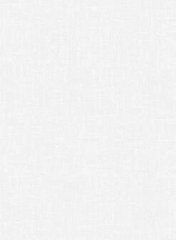 Italian Prato White Linen Suit 14 Italian Prato White Linen Suit -Vest Gentleman Shop italianpratowhtlinsuitlk 5