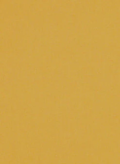 Johnny Collar Shirt - Half Sleeves -Vest Gentleman Shop johnnycollarhalfsleshirtlook 3