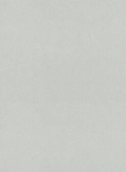 Light Gray Feather Cotton Canvas Stretch Pants -Vest Gentleman Shop ltgrayfeathcotcanvstrepantslook 2