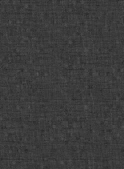 Scabal Cosmopolitan Dark Gray Wool Pants -Vest Gentleman Shop scabalcosmopolitandarkgraywoolpantlk 2