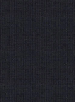 Scabal Cosmopolitan Stripe Isora Blue Wool Pants -Vest Gentleman Shop scabalcosmopolitanstripeisorabluewoolpantlk 2